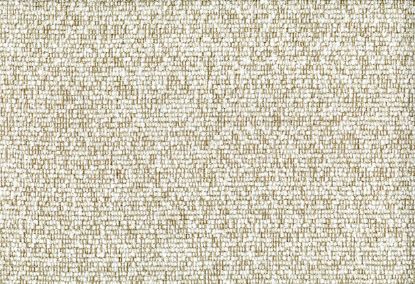 Picture of ZEBRINO-COCONUT