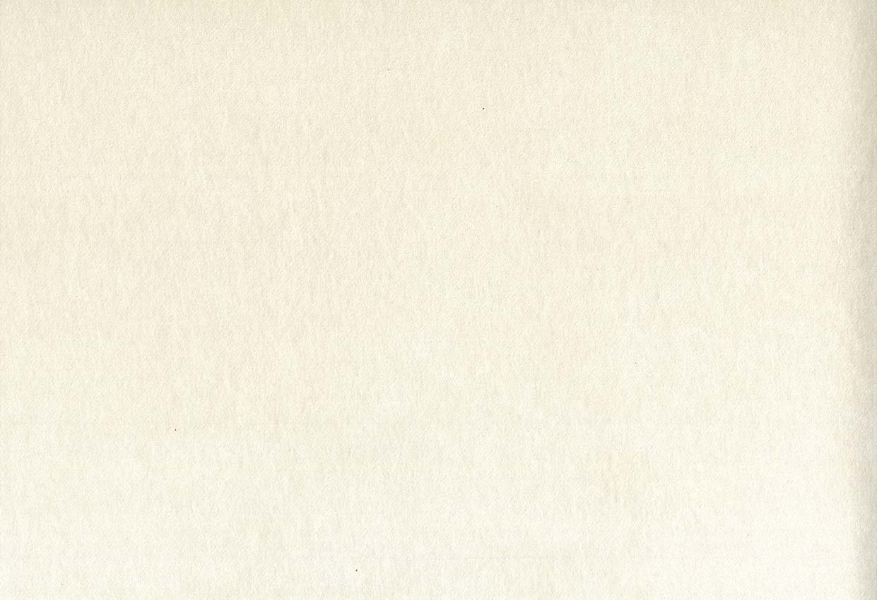 Picture of MONTREAL-DOVE