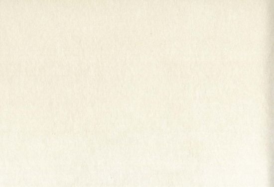 Picture of MONTREAL-DOVE