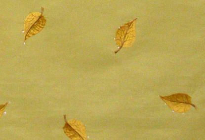 Picture of STARLEAF-GOLD