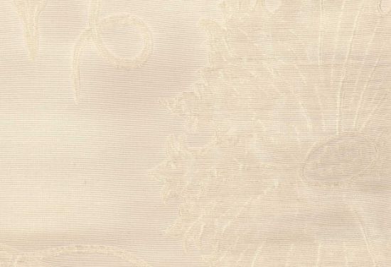 Picture of TAYLOR-OYSTER