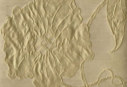 Picture of TAYLOR-SAGE