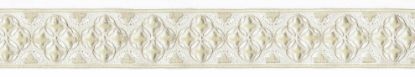 Picture of BORGO VELVET TAPE-LACE