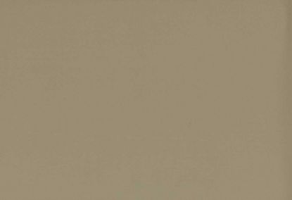 Picture of TURKS-FOREST