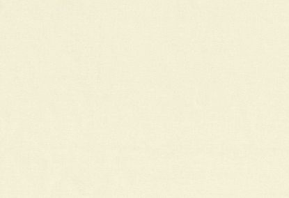 Picture of TURKS-BISQUE