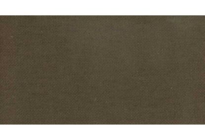 Picture of MOLLY-BIRCH