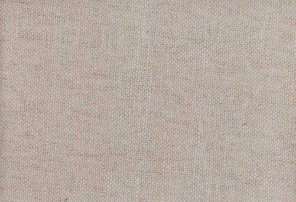 Picture of MOLLY-PLATINUM