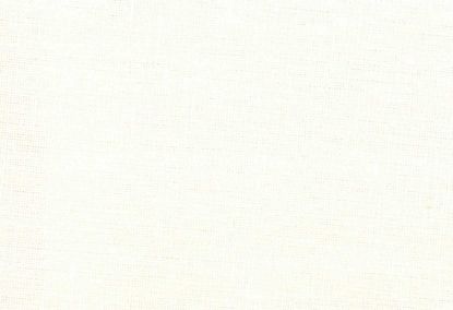 Picture of MOLLY-VANILLA