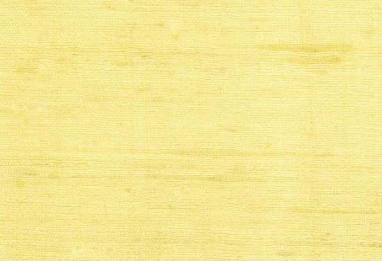 Picture of BARBADOS-102