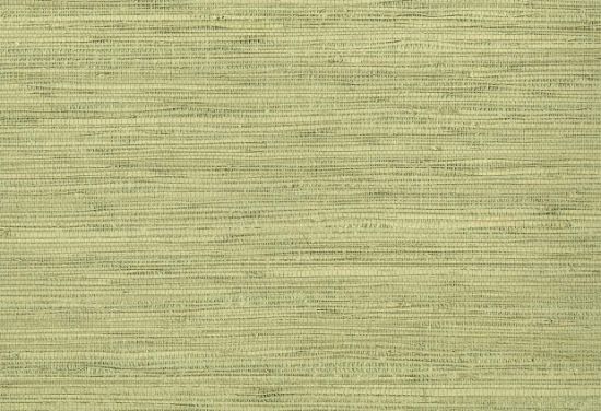 Picture of YORK WC-EDAMAME