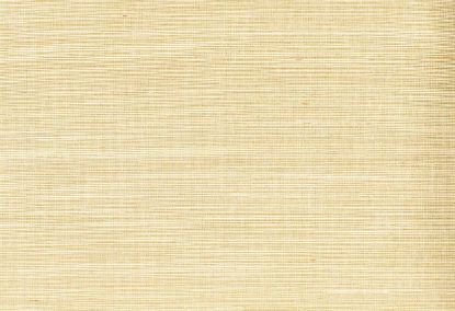 Picture of ARGON WC-SESAME