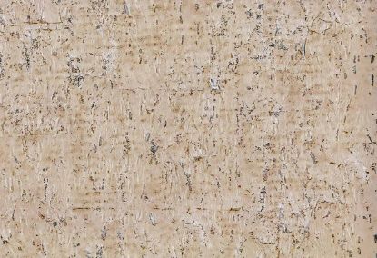 Picture of RALLA WC-ALMOND