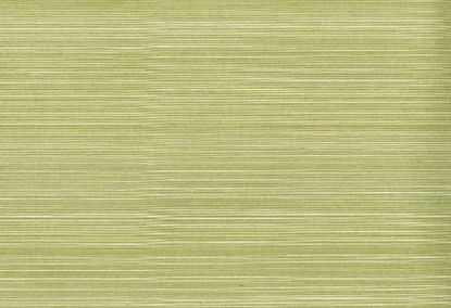 Picture of BLAIR WC-CELERY