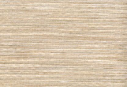 Picture of PONGI WC-DUNE