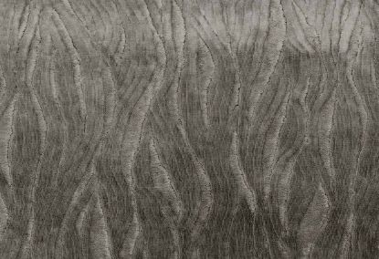 Picture of EWASO-CHINCHILLA