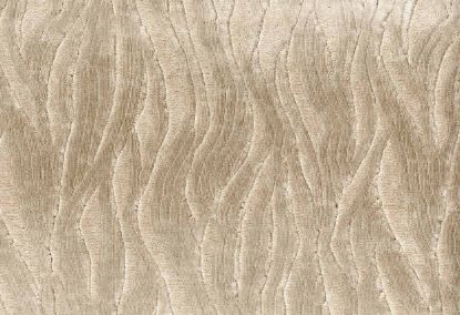 Picture of EWASO-OYSTER