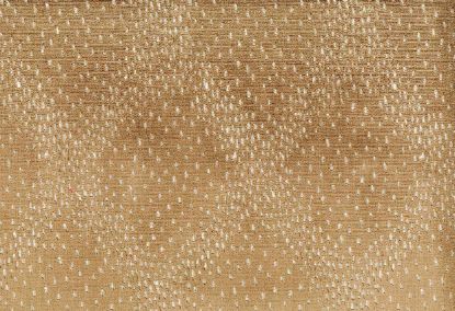 Picture of NJORO-FAWN