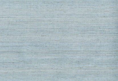 Picture of KOTA WC-SKY