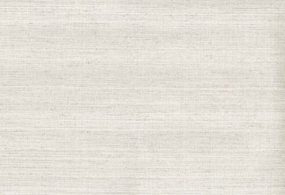 Picture of KOTA WC-OYSTER