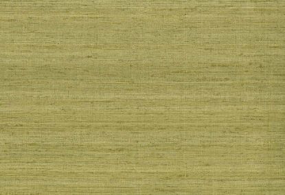 Picture of KOTA WC-GRASS