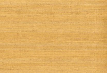 Picture of KOTA WC-CORN