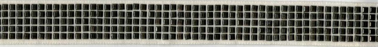 Picture of MACQUARIE STUDDED TAPE-IVORY