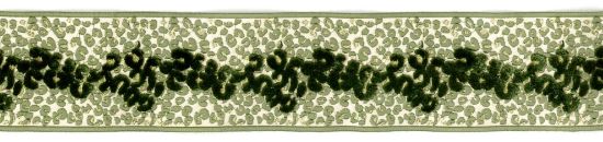 Picture of PIUMATI VELVET TAPE-VERT