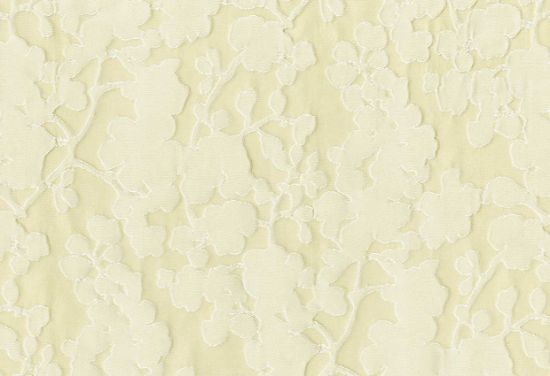 Picture of TAPU-CHAMPAGNE