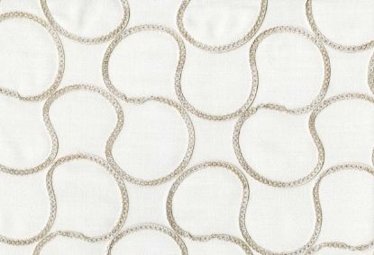 Picture of CESME-OYSTER