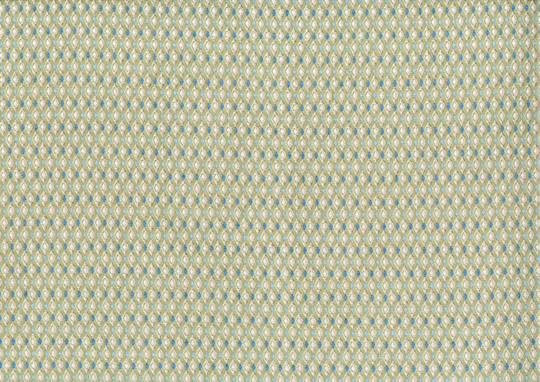 Picture of EDWARD-KELP