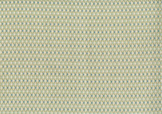 Picture of EDWARD-KELP