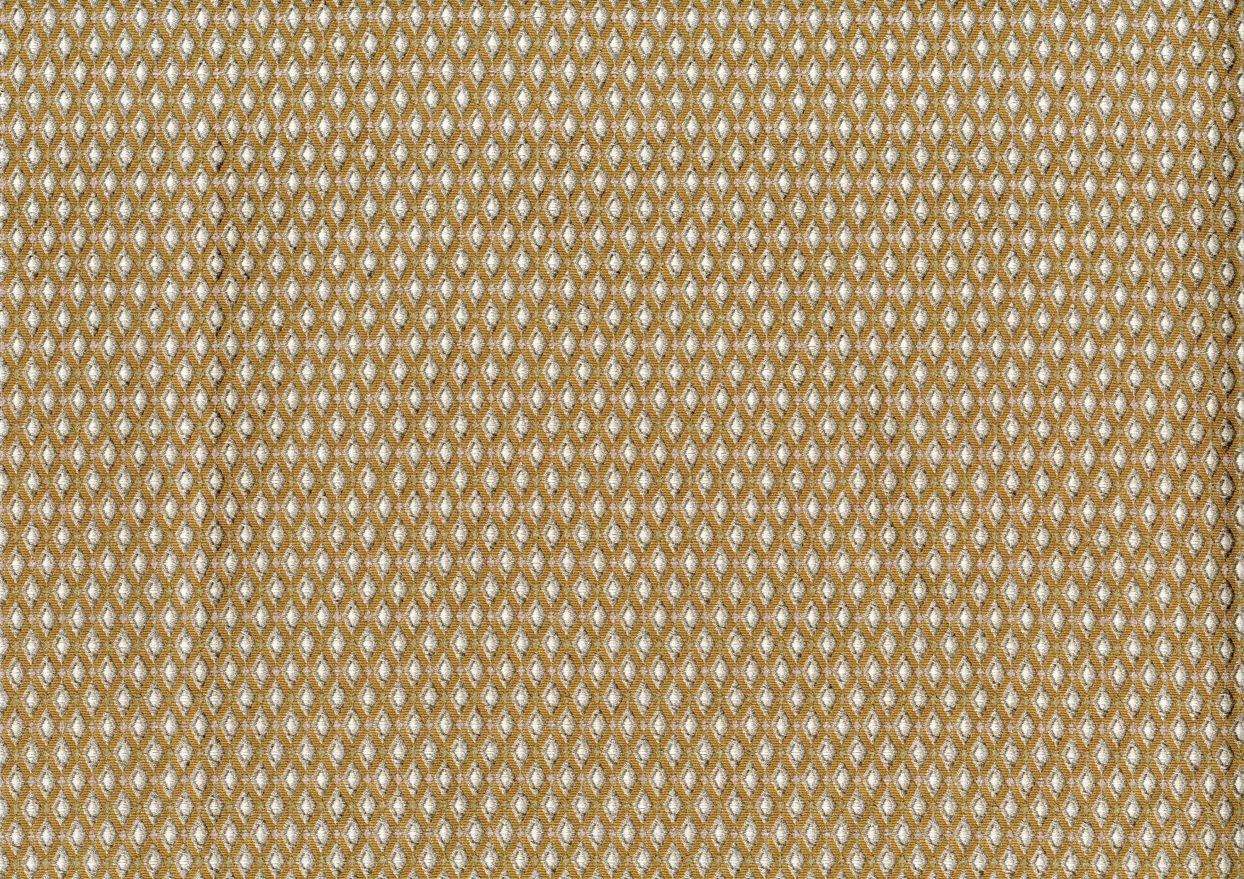 Picture of EDWARD-GOLDEN