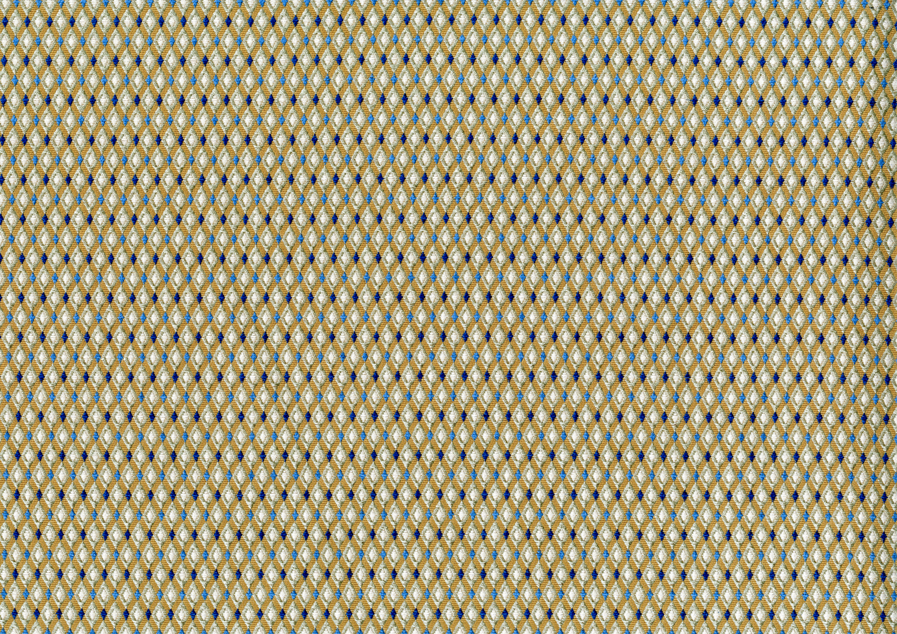 Picture of EDWARD-CORNFLOWER