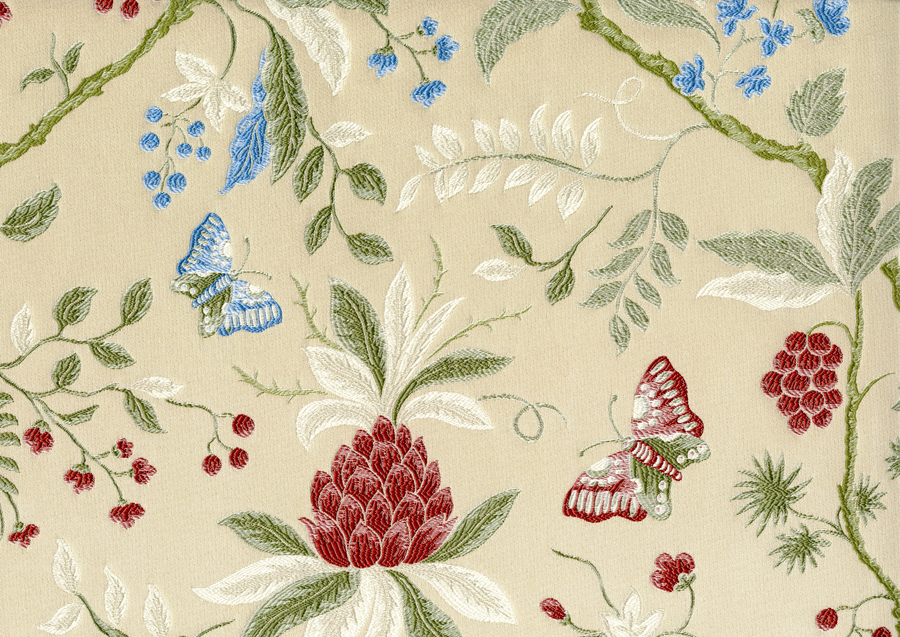 Picture of GWENDOLYN-PARROT