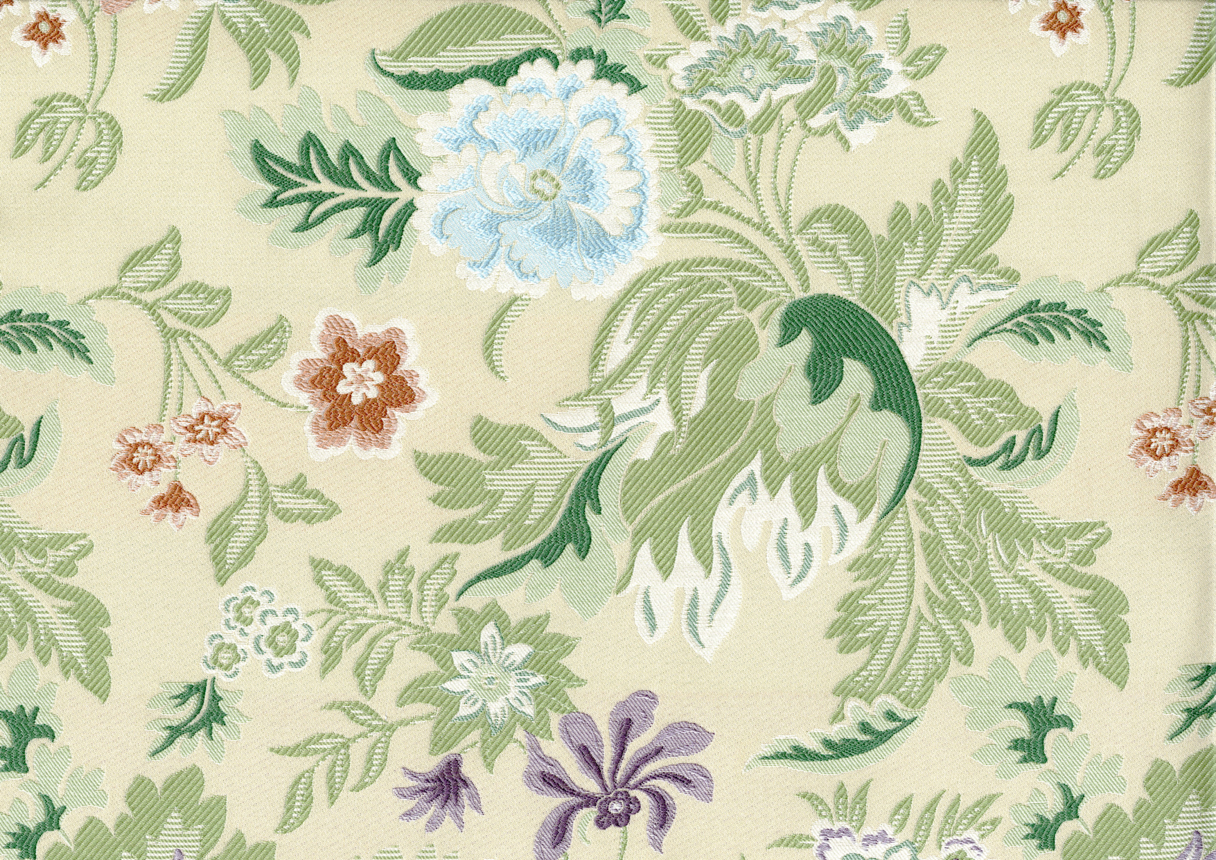 Picture of IVY-SPRING