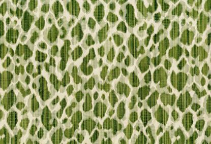 Picture of ESSEN-KELP