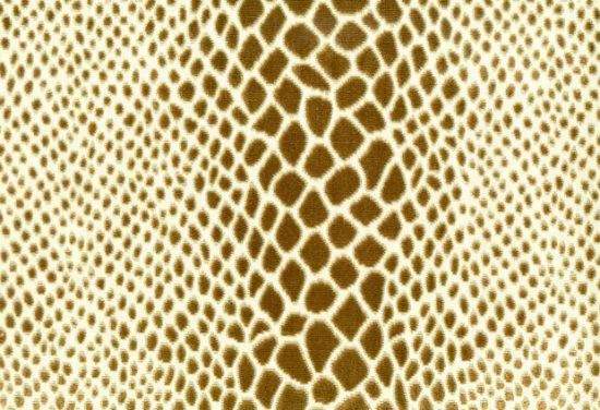 Picture of STAPLEFORD-CAFE