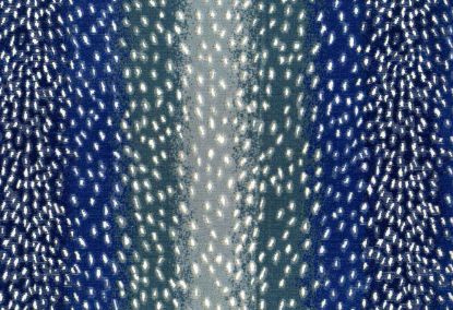 Picture of NERI-NAVY