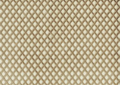 Picture of CAREN-CAFE