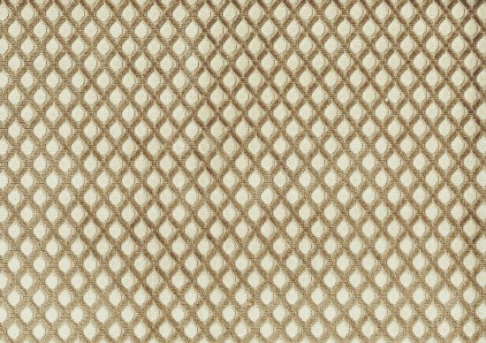 Picture of CAREN-CAFE