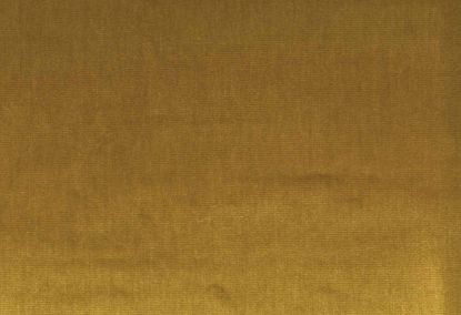 Picture of VAIL-HONEY