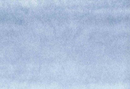 Picture of MONTREAL-PERIWINKLE