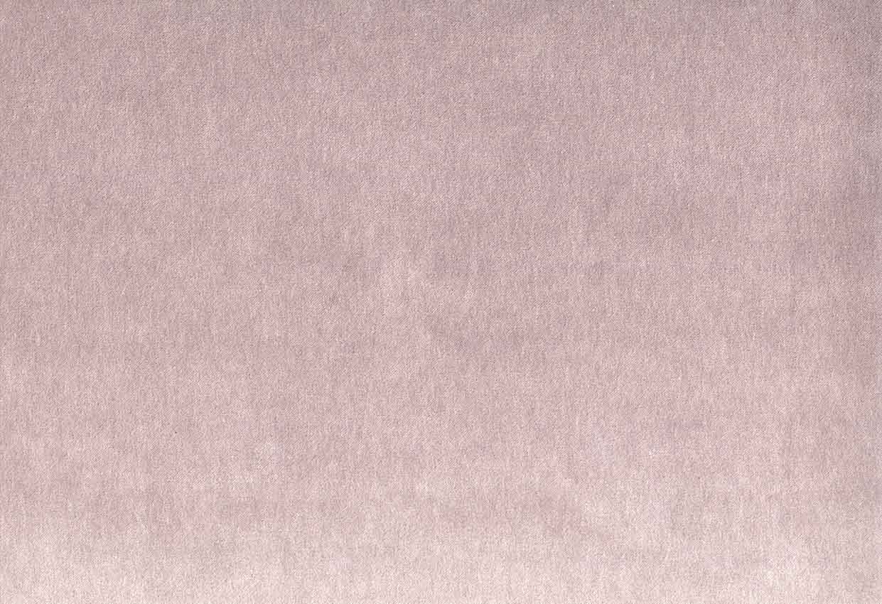 Picture of MONTREAL-ORCHID