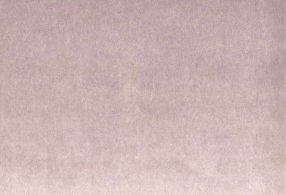 Picture of MONTREAL-ORCHID