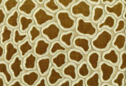 Picture of RISLEY-CAFÉ