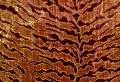 Picture of GALAPAGOS-SPICE