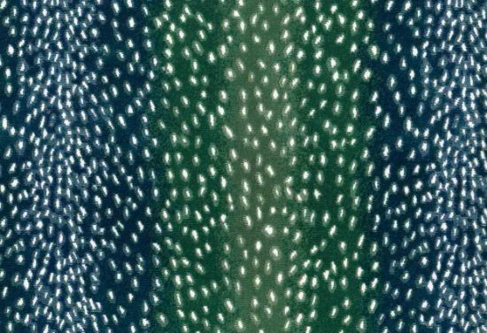 Picture of NERI-OCEAN