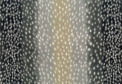 Picture of NERI-STONE