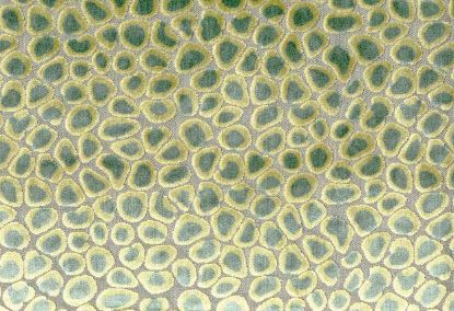 Picture of CLIO-SEAFOAM