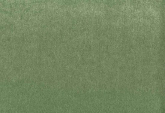 Picture of MONTREAL-PINE